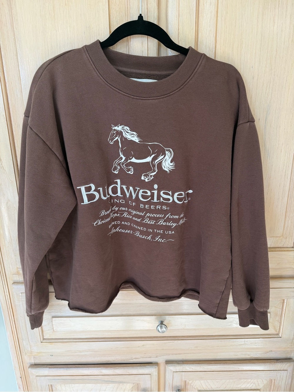 PacSun Brown Budweiser Sweatshirt